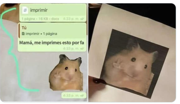 FOTICO GRUPAL